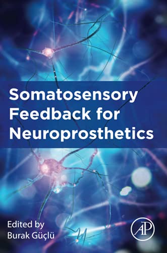Book Somatosensory Feedback for Neuroprosthetics free