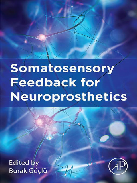 Book Somatosensory Feedback for Neuroprosthetics free