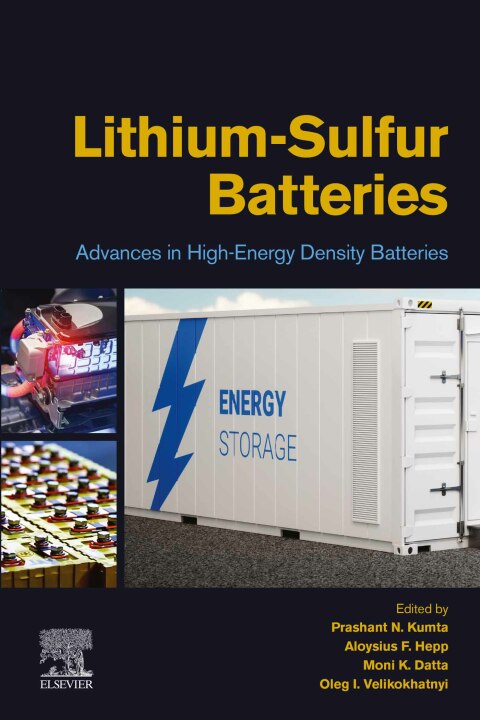 Book Lithium-Sulfur Batteries free