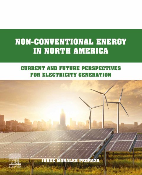 Book Non-Conventional Energy in North America free