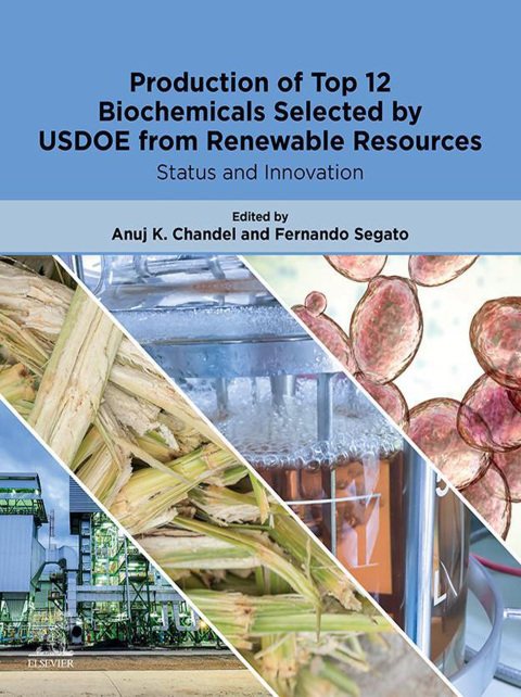 Book Production of Top 12 Biochemicals Selected by USDOE from Renewable Resources free