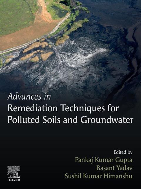 Book Advances in Remediation Techniques for Polluted Soils and Groundwater free