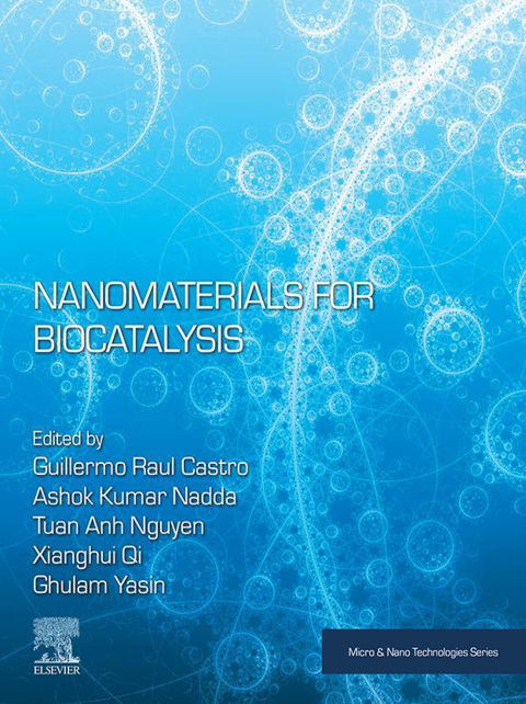 Book Nanomaterials for Biocatalysis free