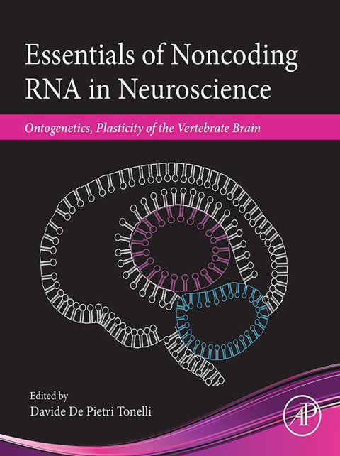 Book Essentials of Noncoding RNA in Neuroscience: Ontogenetics, Plasticity of the Vertebrate Brain free