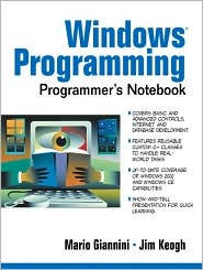 Book Windows Programming Programmer's Notebook free
