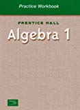 Book ALGEBRA 1 BY SMITH PRACTICE WORKBOOK 2001C free