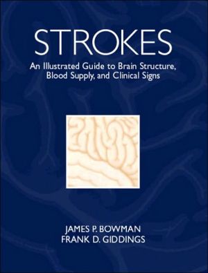 Book Strokes: An Illustrated Guide to Brain Structure, Blood Supply and Clinical Signs free