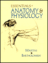 Book Essentials of Anatomy and Physiology (2nd Edition) free