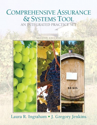 Book Comprehensive Assurance & Systems Tool (CAST)-Integrated Practice Set (2nd Edition) free