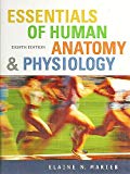 Book Essentials of Human Anatomy and Physiology free