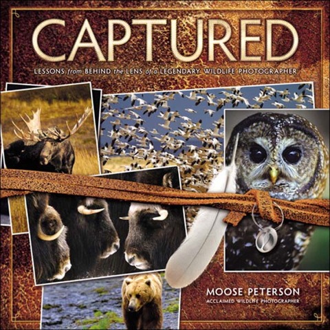 Book Captured: Lessons from Behind the Lens of a Legendary Wildlife Photographer (Voices That Matter) free