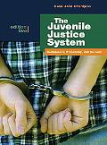Book The Juvenile Justice System: Delinquency, Processing, and the Law (5th Edition) free