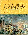 Book The Meaning of Sociology free