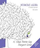 Book Intermediate Algebra A Graphing Approach Value Pack (includes Chapter Test Prep Video CD) free