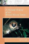 Book A Natural History of the Brown Mouse Lemur free