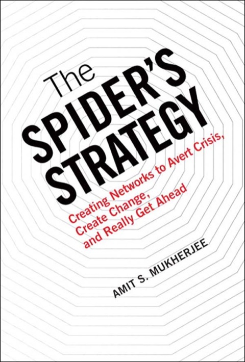 Book Spider's Strategy, The: Creating Networks to Avert Crisis, Create Change, and Really Get Ahead free