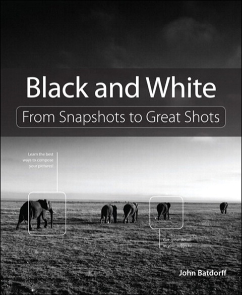 Book Black and White: From Snapshots to Great Shots free