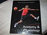 Book Essentials of Anatomy and Physiology (Sixth Edition) free