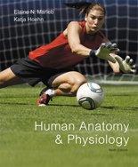 Book Human Anatomy and Physiology free