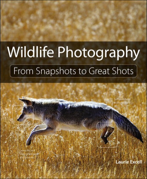 Book Wildlife Photography: From Snapshots to Great Shots free