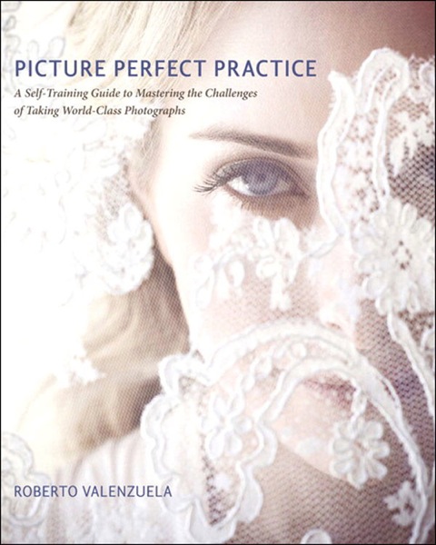 Book Picture Perfect Practice: A Self-Training Guide to Mastering the Challenges of Taking World-Class Photographs (Voices That Matter) free