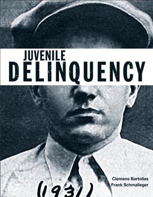 Book Juvenile Delinquency + Mycrimekit (The Justice Series) free
