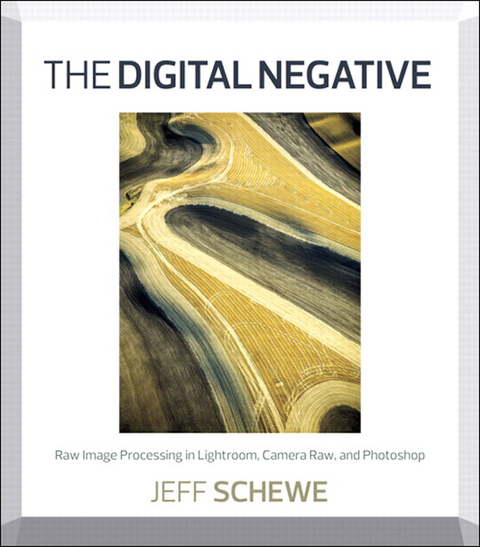 Book Digital Negative, The: Raw Image Processing in Lightroom, Camera Raw, and Photoshop free