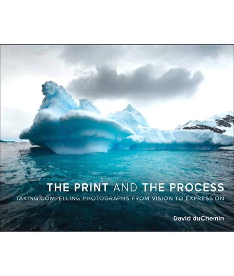 Book The Print and the Process free