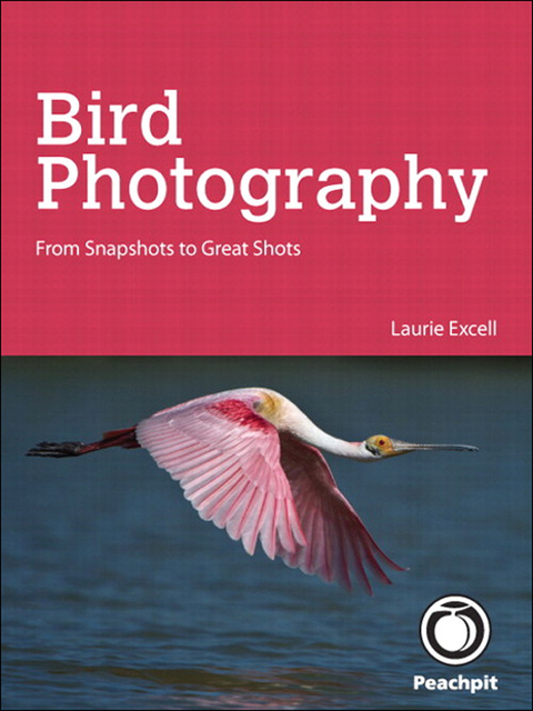 Book Bird Photography: From Snapshots to Great Shots free