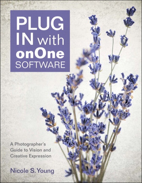 Book Plug In with onOne Software: A Photographer's Guide to Vision and Creative Expression free
