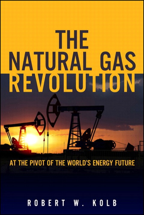 Book Natural Gas Revolution, The: At the Pivot of the World's Energy Future free