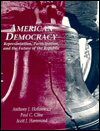 Book American Democracy: Representation, Participation and the Future of the Republic free