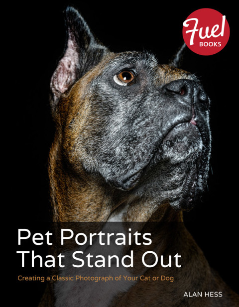 Book Pet Portraits That Stand Out: Creating a Classic Photograph of Your Cat or Dog free