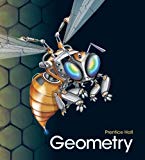 Book Geometry, Student Edition free