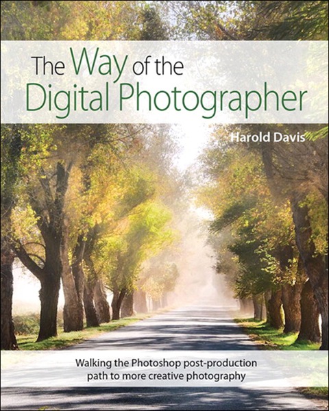 Book The Way of the Digital Photographer: Walking the Photoshop post-production path to more creative photography free