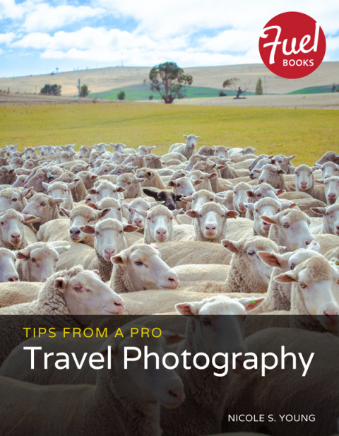 Book Tips from a Pro: Travel Photography free