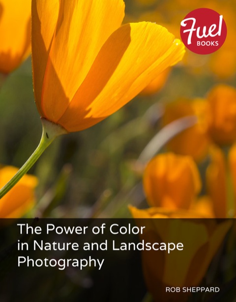 Book Power of Color in Nature and Landscape Photography, The free