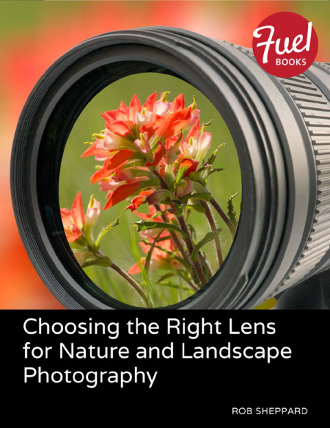 Book Choosing the Right Lens for Nature and Landscape Photography free