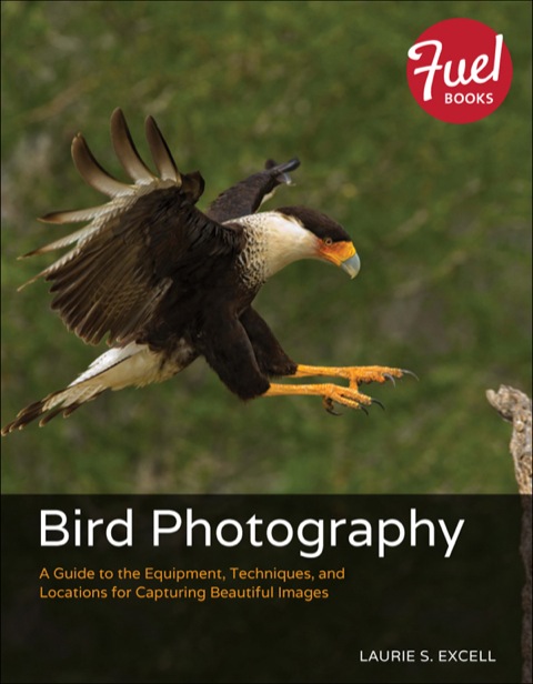 Book Bird Photography free