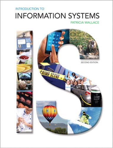 Book Introduction to Information Systems (2-downloads) free