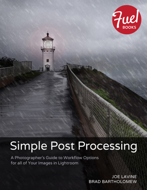 Book Simple Post Processing: A Photographer's Guide to Workflow Options for all of Your Images in Lightroom free