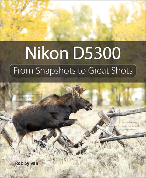 Book Nikon D5300: From Snapshots to Great Shots free