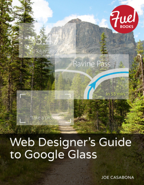 Book Web Designer's Guide to Google Glass free