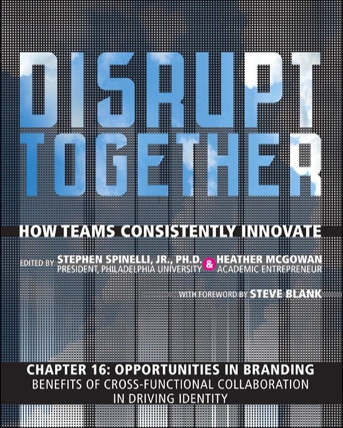 Book Opportunities in Branding - Benefits of Cross-Functional Collaboration in Driving Identity (Chapter 16 from Disrupt Together) free