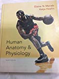 Book Human Anatomy & Physiology free