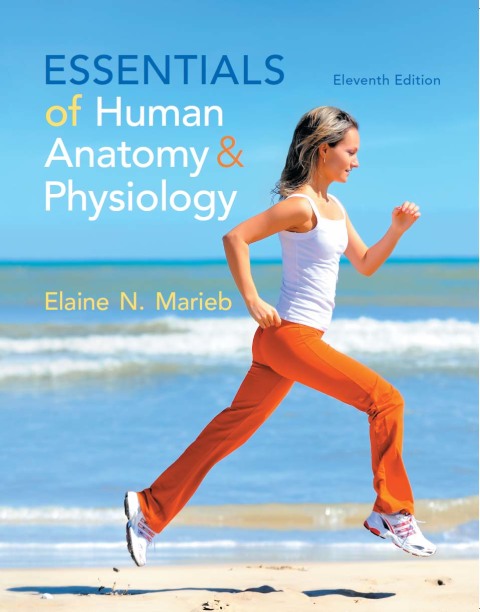 Book Essentials of Human Anatomy & Physiology free