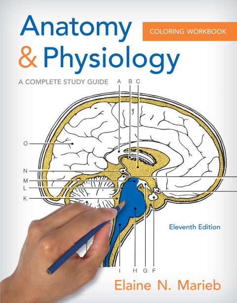 Book Anatomy and Physiology Coloring Workbook free