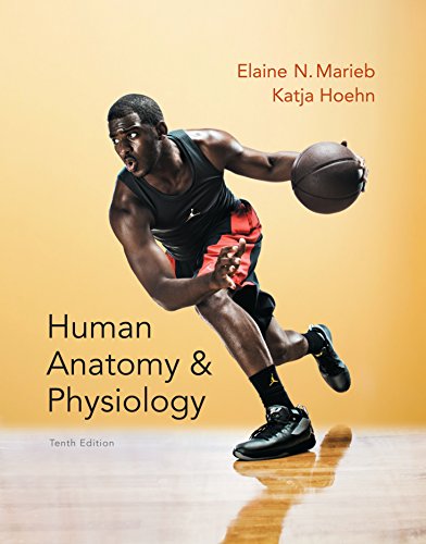 Book Human Anatomy & Physiology (2-downloads) (Marieb, Human Anatomy & Physiology) free