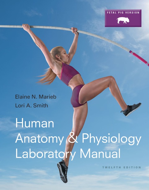 Book Human Anatomy & Physiology Laboratory Manual, Fetal Pig Version free