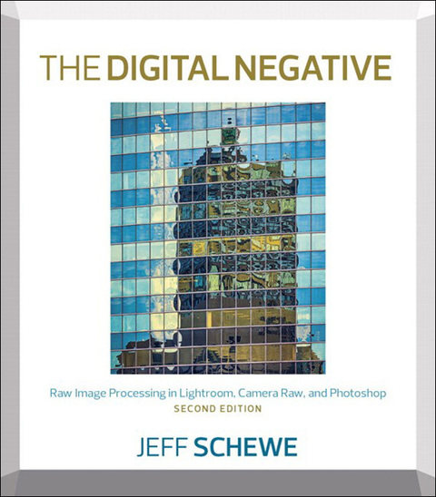Book Digital Negative, The: Raw Image Processing in Lightroom, Camera Raw, and Photoshop free